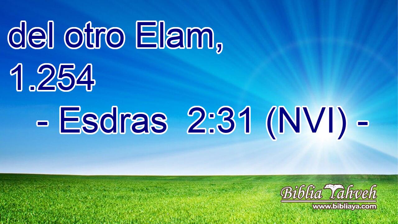  del otro Elam, 1.254 