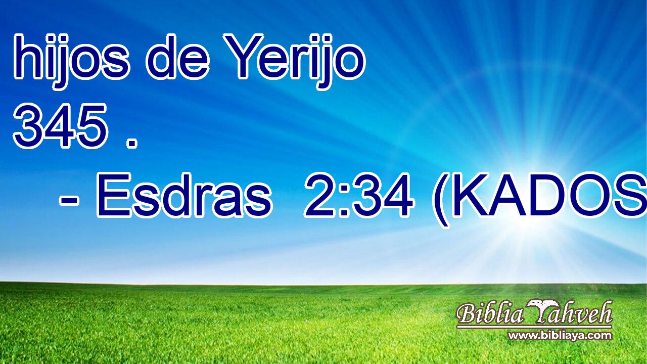  hijos de Yerijo 345 . 