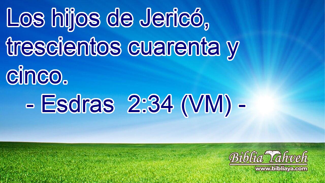  Los hijos de Jericó, trescientos cuarenta y cinco. 
