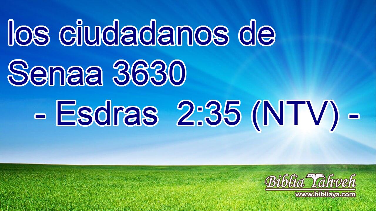 los ciudadanos de Senaa 3630  