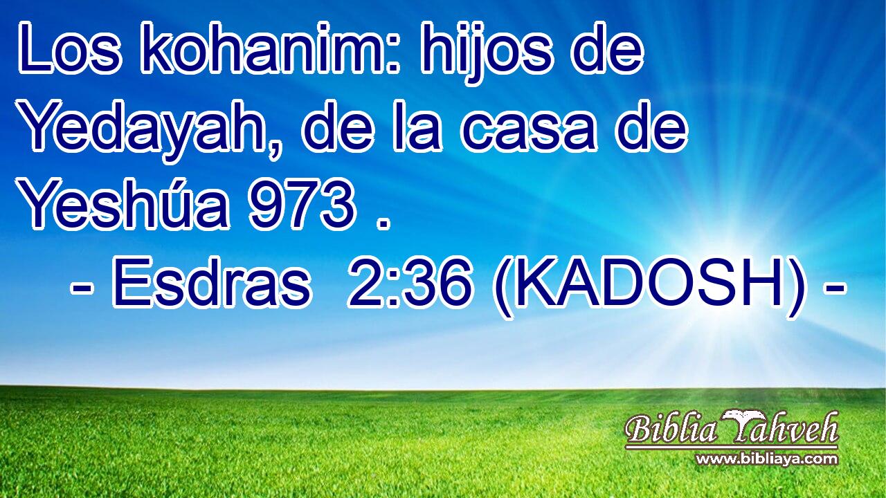  Los kohanim: hijos de Yedayah, de la casa de Yeshúa 973 . 