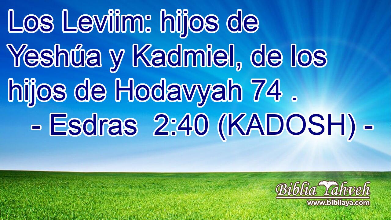  Los Leviim: hijos de Yeshúa y Kadmiel, de los hijos de Hodavyah 74 . 