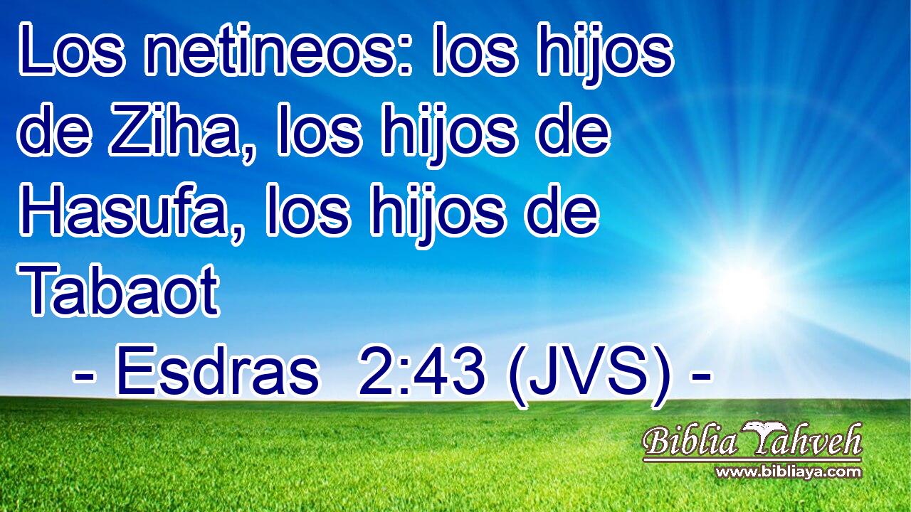 Los netineos: los hijos de Ziha, los hijos de Hasufa, los hijos de Tabaot