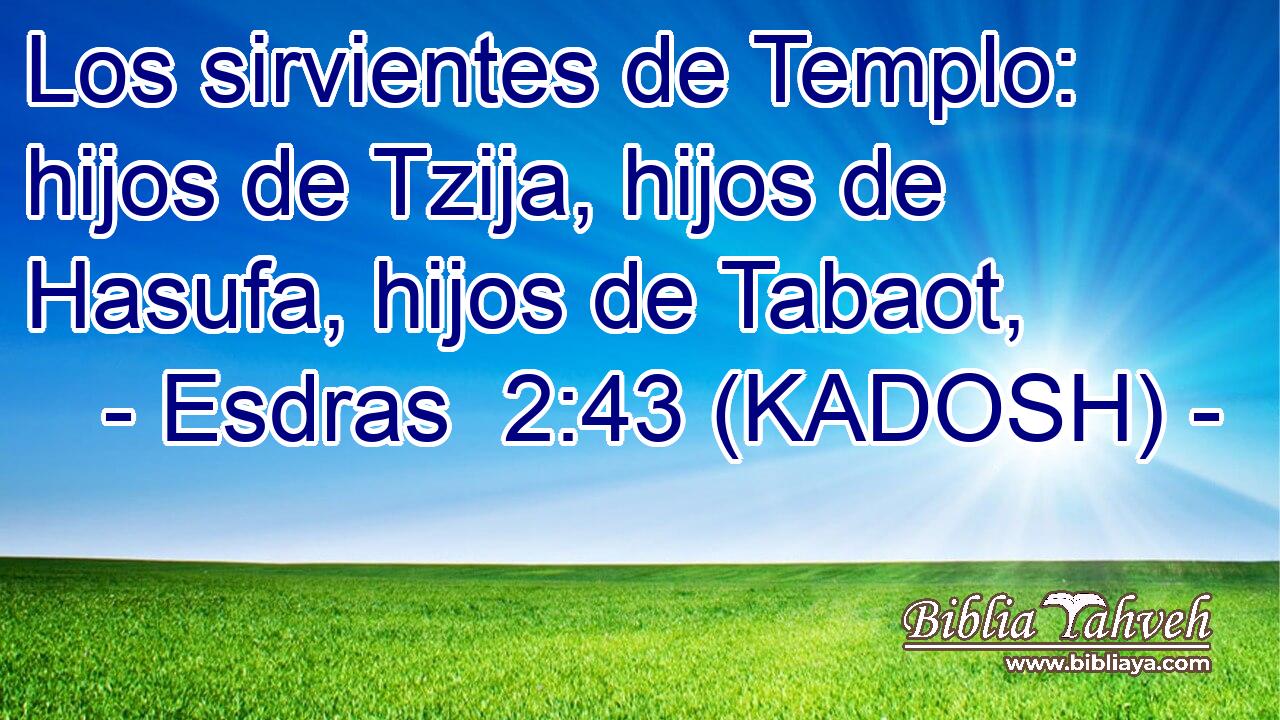  Los sirvientes de Templo: hijos de Tzija, hijos de Hasufa, hijos de Tabaot, 