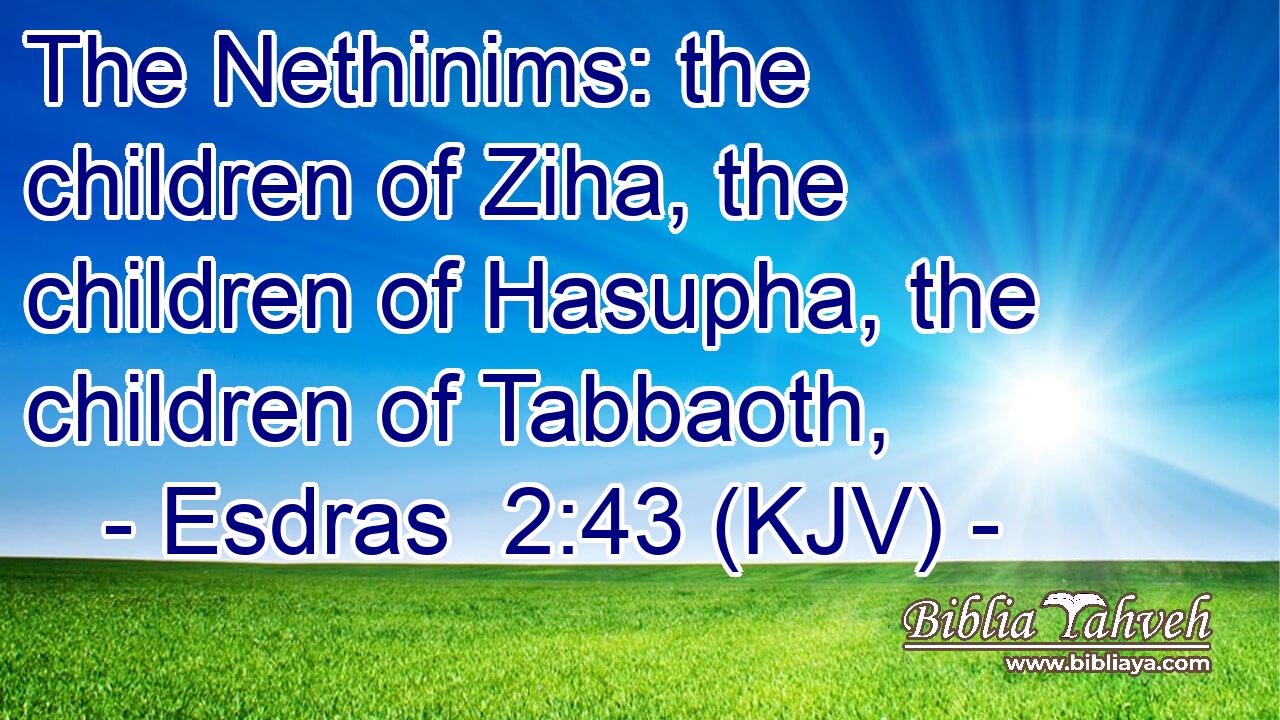The Nethinims: the children of Ziha, the children of Hasupha, the children of Tabbaoth,