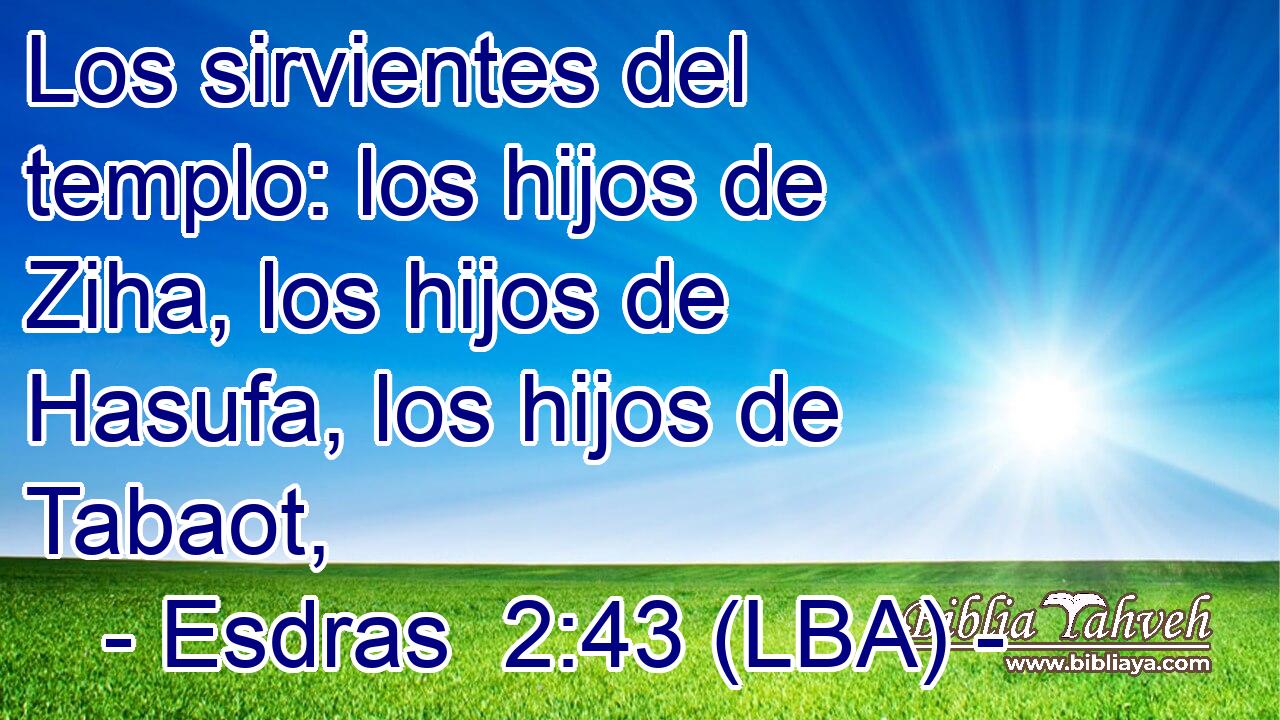Los sirvientes del templo: los hijos de Ziha, los hijos de Hasufa, los hijos de Tabaot,