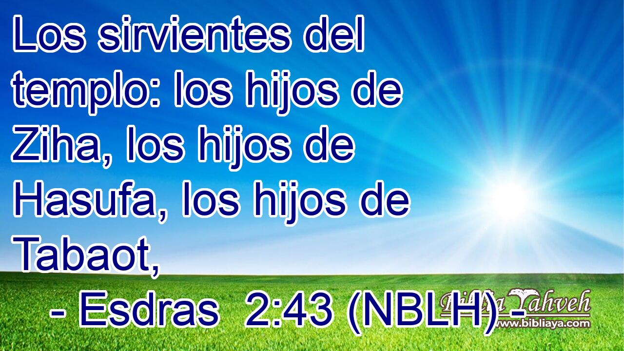  Los sirvientes del templo: los hijos de Ziha, los hijos de Hasufa, los hijos de Tabaot, 