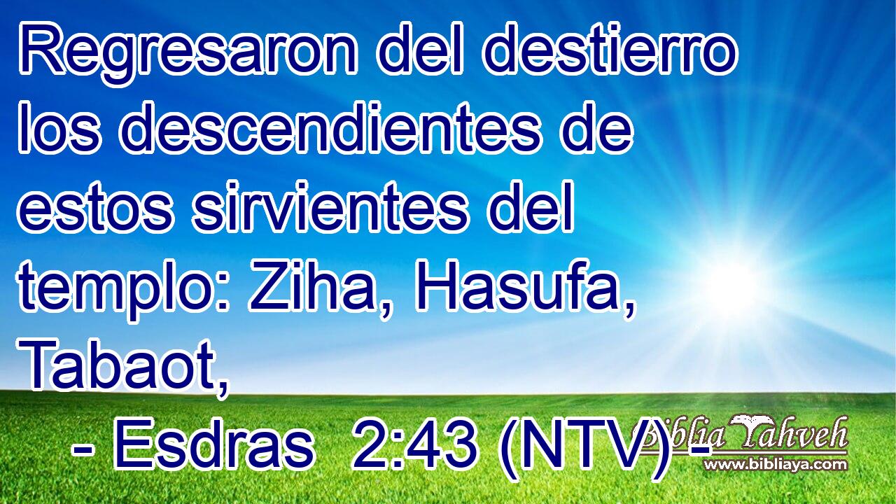 Regresaron del destierro los descendientes de estos sirvientes del templo: Ziha, Hasufa, Tabaot,
