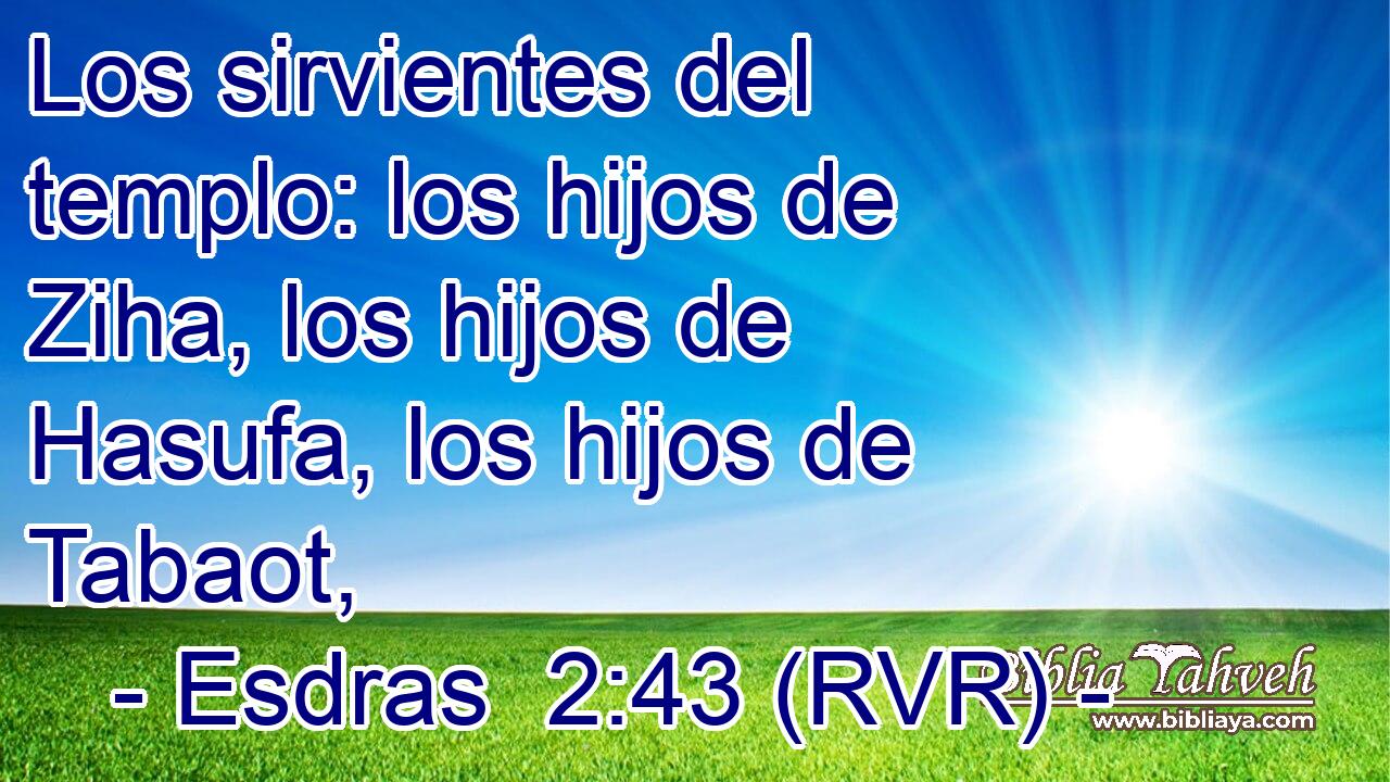 Los sirvientes del templo: los hijos de Ziha, los hijos de Hasufa, los hijos de Tabaot,