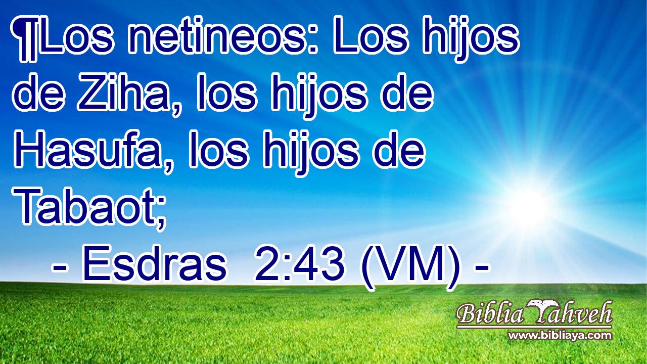  ¶Los netineos: Los hijos de Ziha, los hijos de Hasufa, los hijos de Tabaot; 