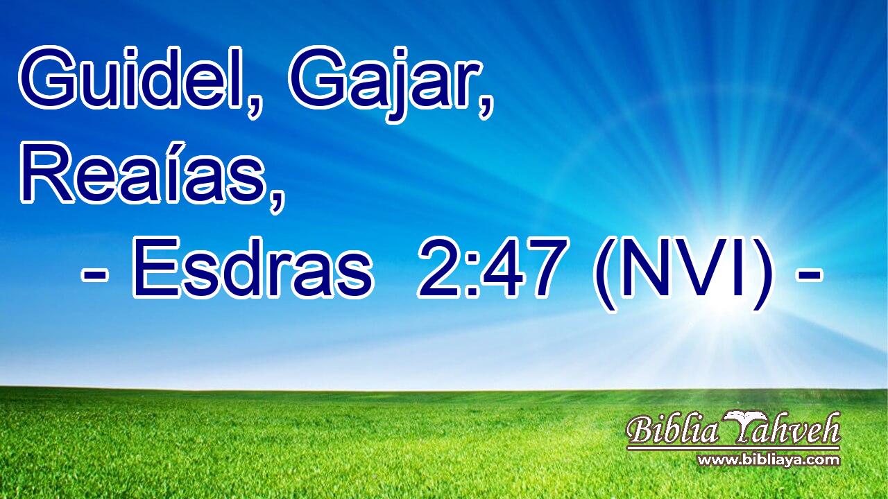  Guidel, Gajar, Reaías, 
