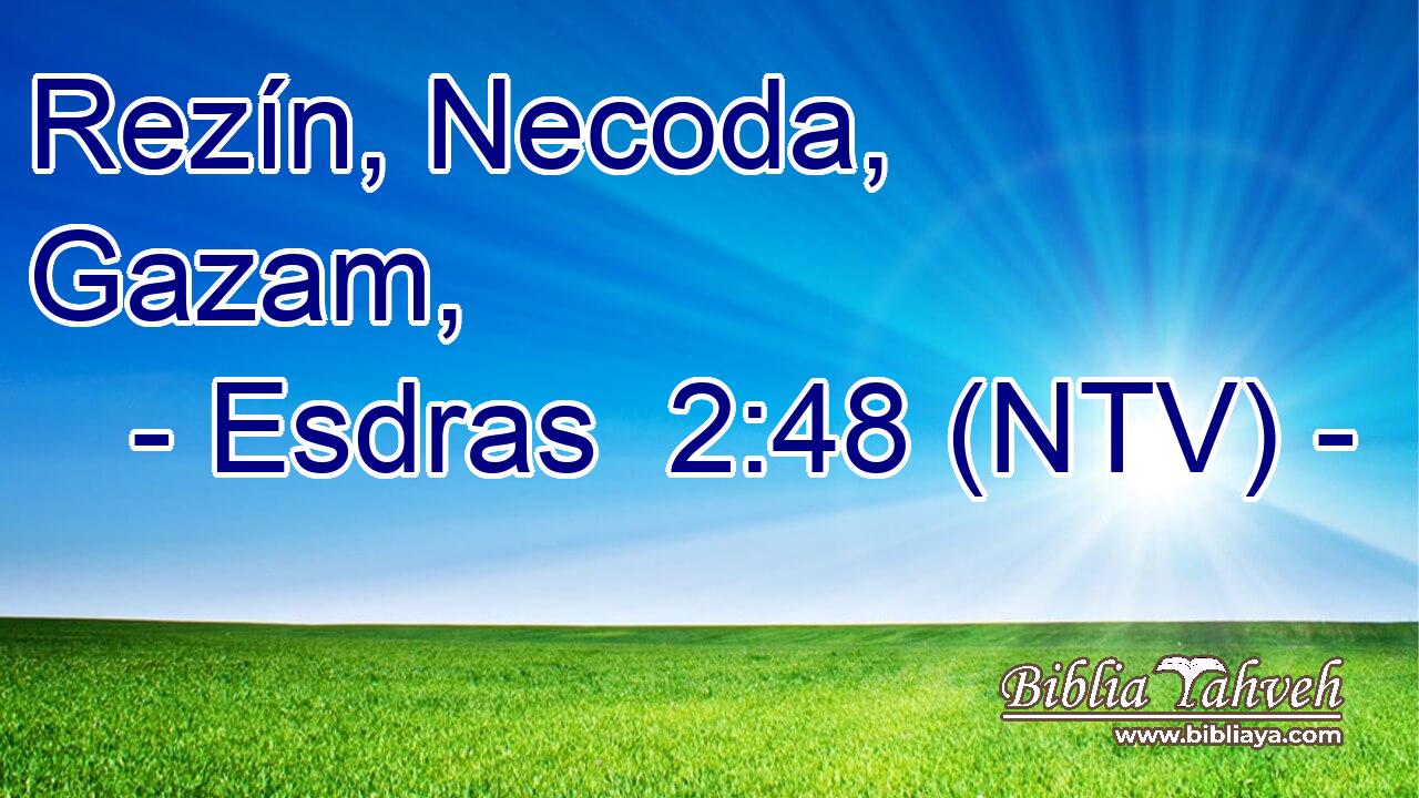 Rezín, Necoda, Gazam,