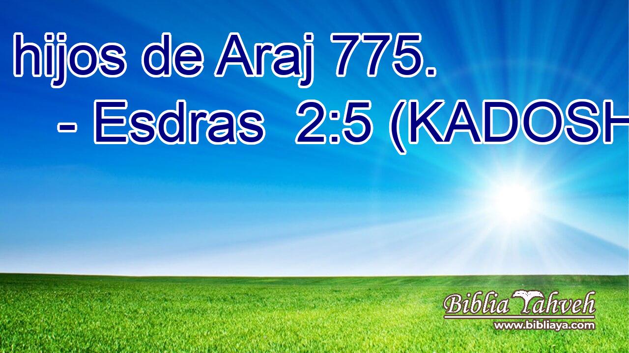  hijos de Araj 775. 