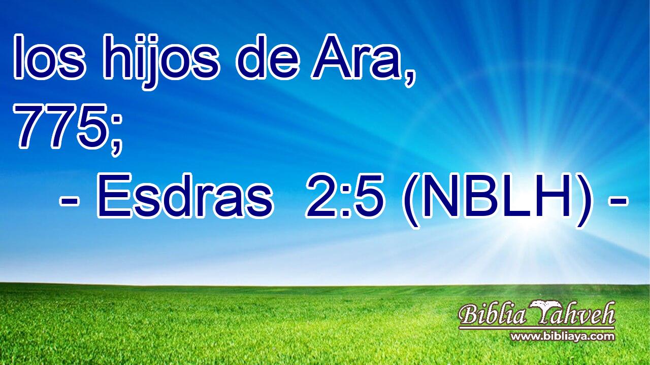  los hijos de Ara, 775; 