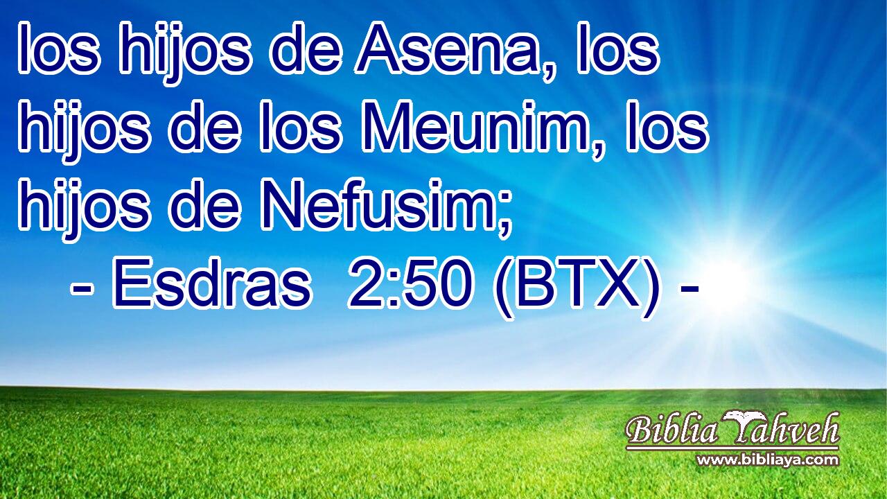 los hijos de Asena, los hijos de los Meunim, los hijos de Nefusim;