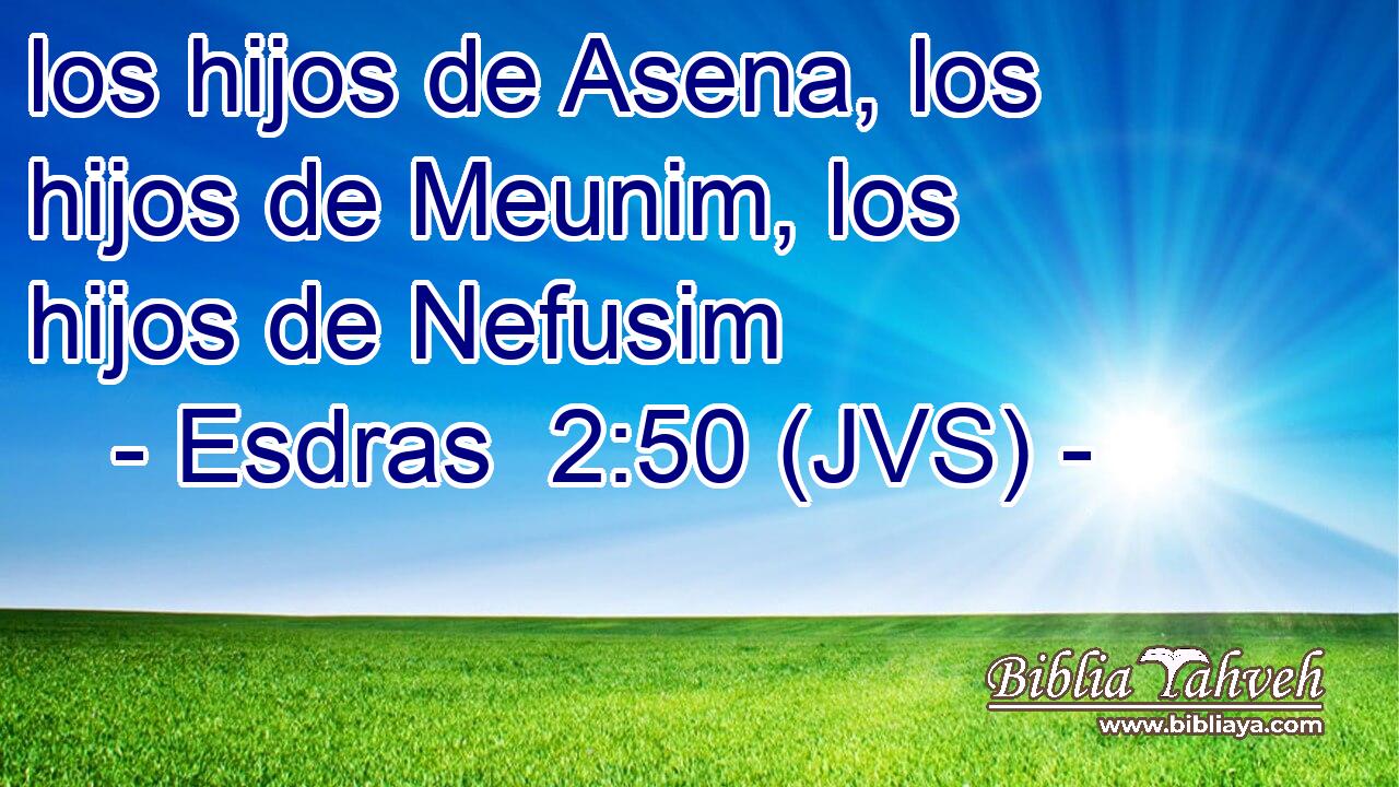 los hijos de Asena, los hijos de Meunim, los hijos de Nefusim