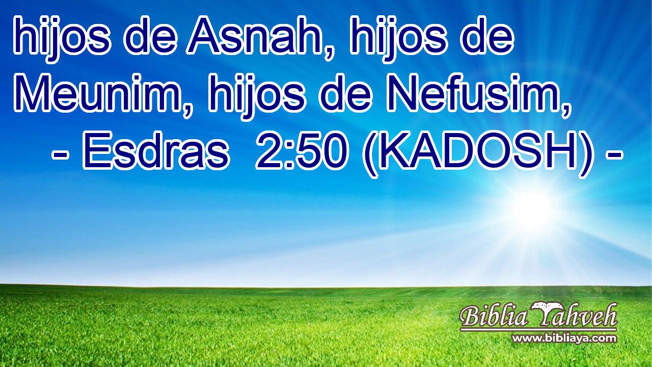  hijos de Asnah, hijos de Meunim, hijos de Nefusim, 