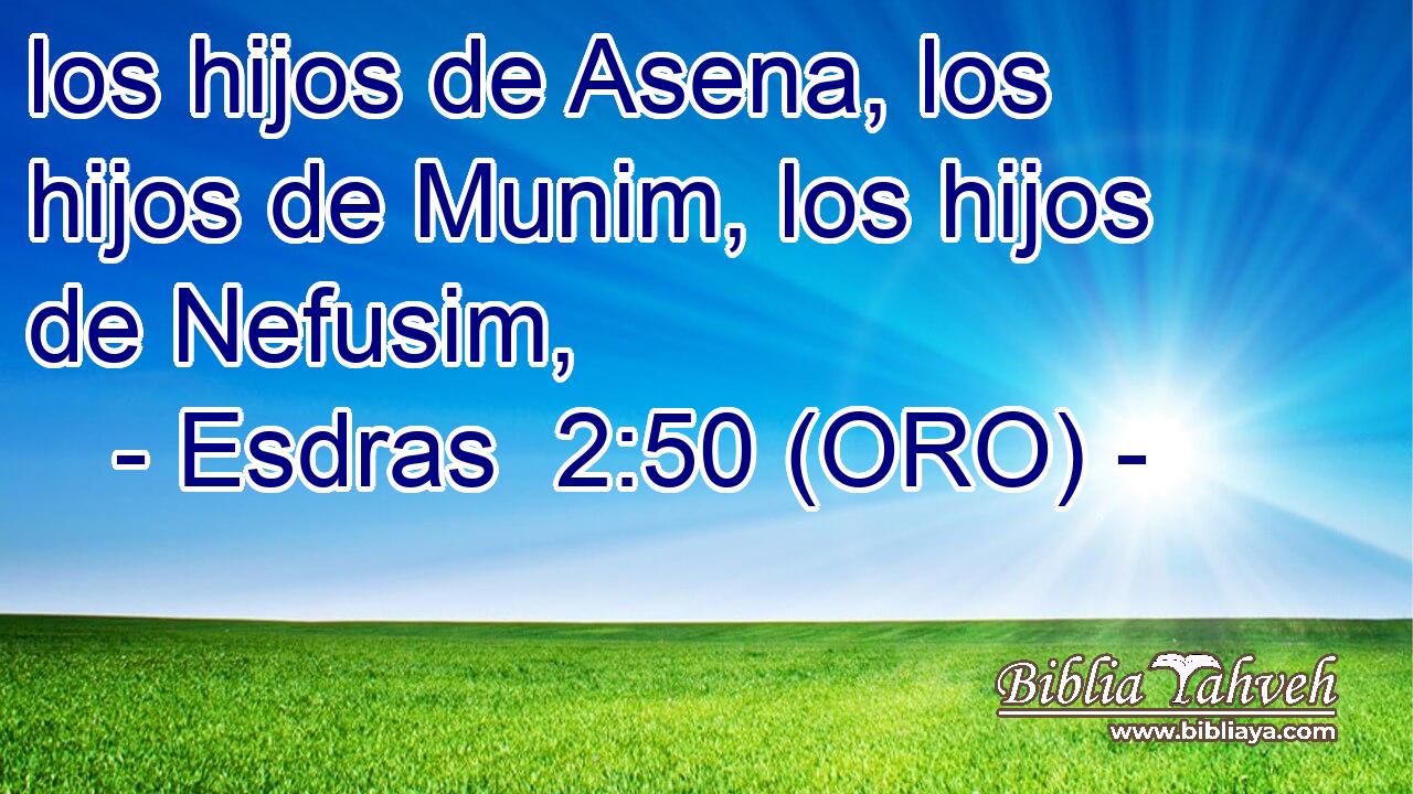  los hijos de Asena, los hijos de Munim, los hijos de Nefusim, 