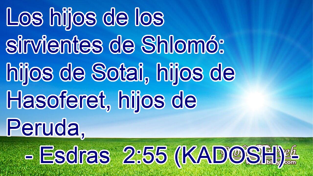  Los hijos de los sirvientes de Shlomó: hijos de Sotai, hijos de Hasoferet, hijos de Peruda, 