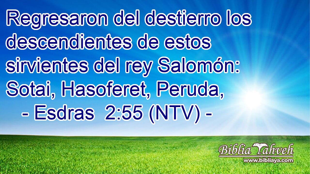 Regresaron del destierro los descendientes de estos sirvientes del rey Salomón: Sotai, Hasoferet, Peruda,