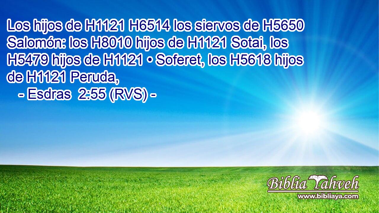 Los hijos de H1121 H6514 los siervos de H5650 Salomón: los H8010 hijos de H1121 Sotai, los H5479 hijos de H1121 • Soferet, los H5618 hijos de H1121 Peruda, 