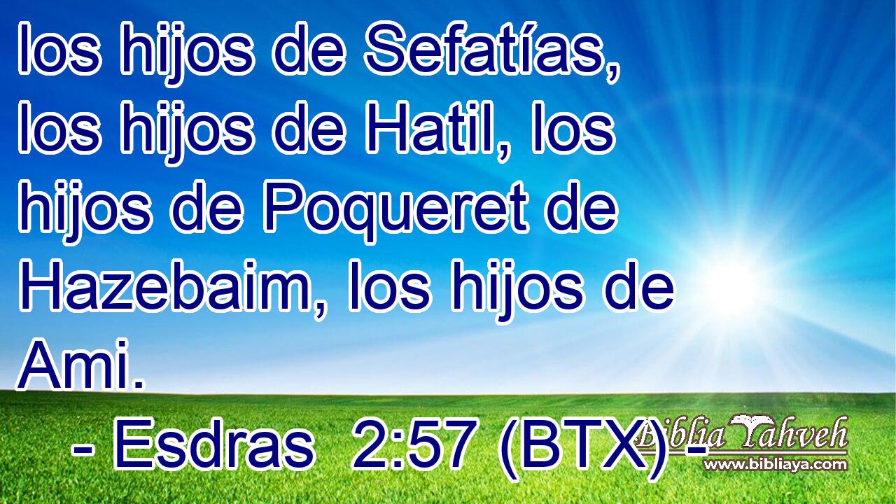 los hijos de Sefatías, los hijos de Hatil, los hijos de Poqueret de Hazebaim, los hijos de Ami.