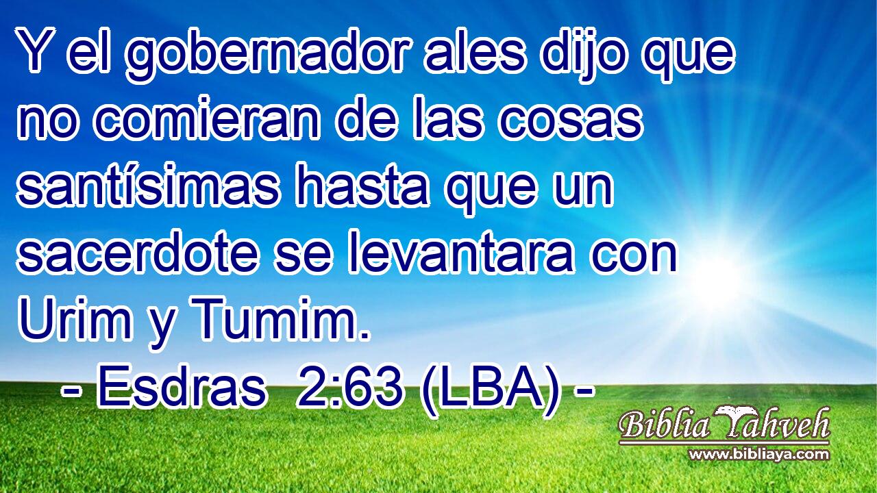 Y el gobernador ales dijo que no comieran de las cosas santísimas hasta que un sacerdote se levantara con Urim y Tumim.