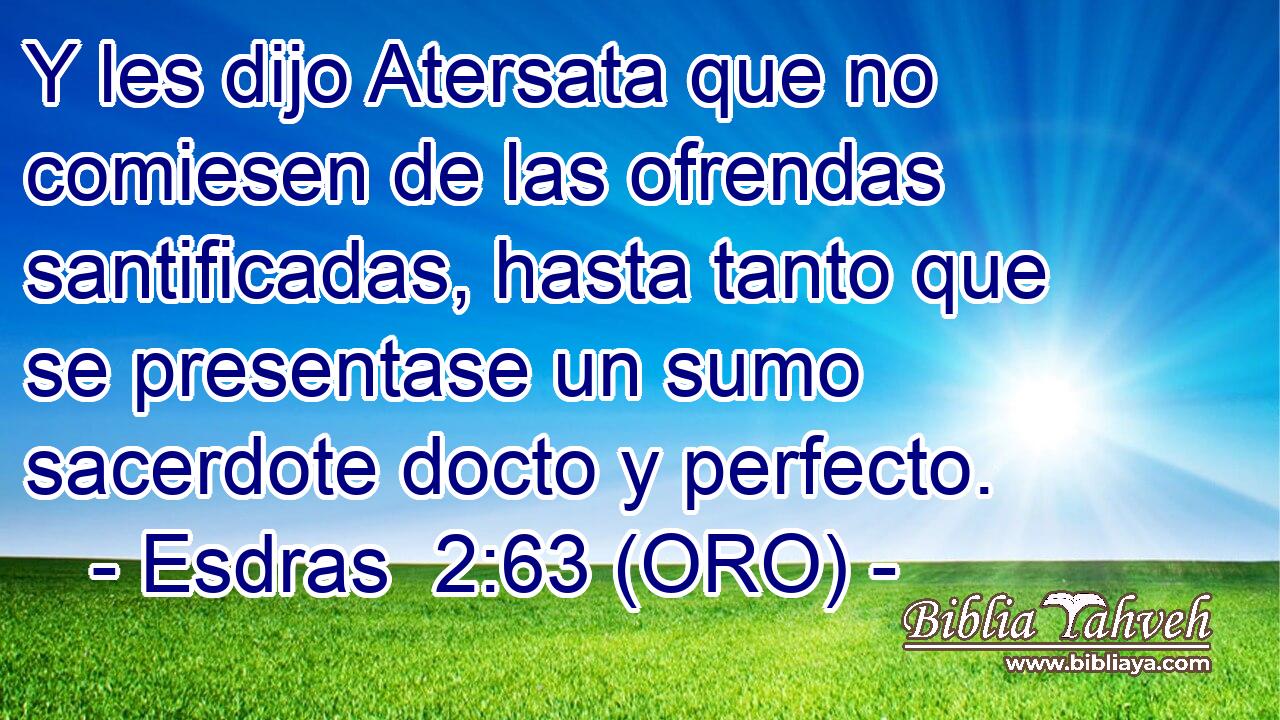  Y les dijo Atersata que no comiesen de las ofrendas santificadas, hasta tanto que se presentase un sumo sacerdote docto y perfecto. 