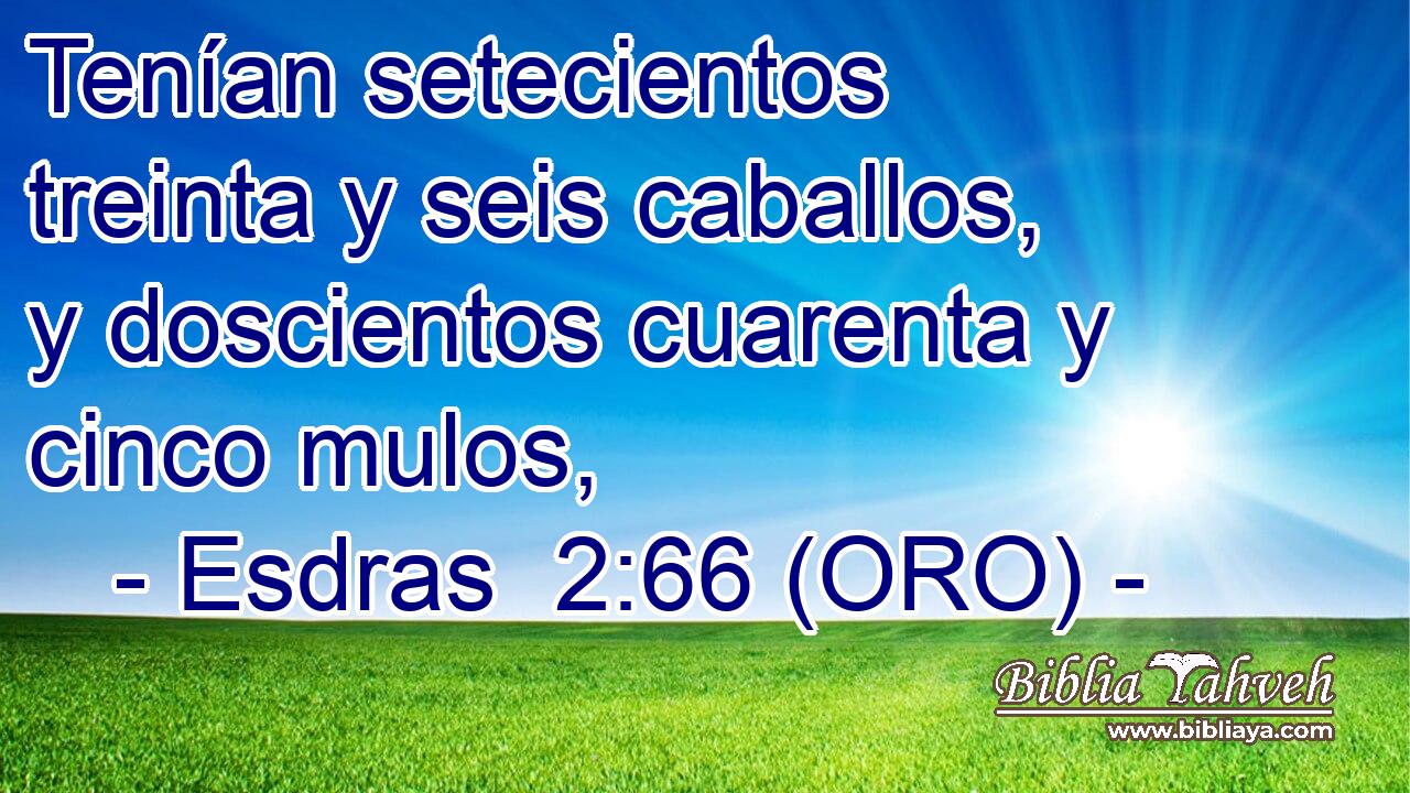  Tenían setecientos treinta y seis caballos, y doscientos cuarenta y cinco mulos, 