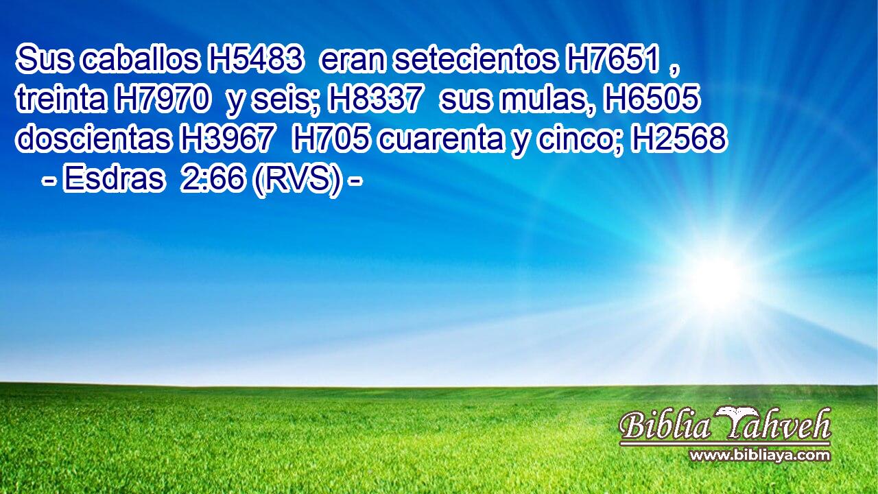 Sus caballos H5483  eran setecientos H7651 ,  treinta H7970  y seis; H8337  sus mulas, H6505  doscientas H3967  H705 cuarenta y cinco; H2568  