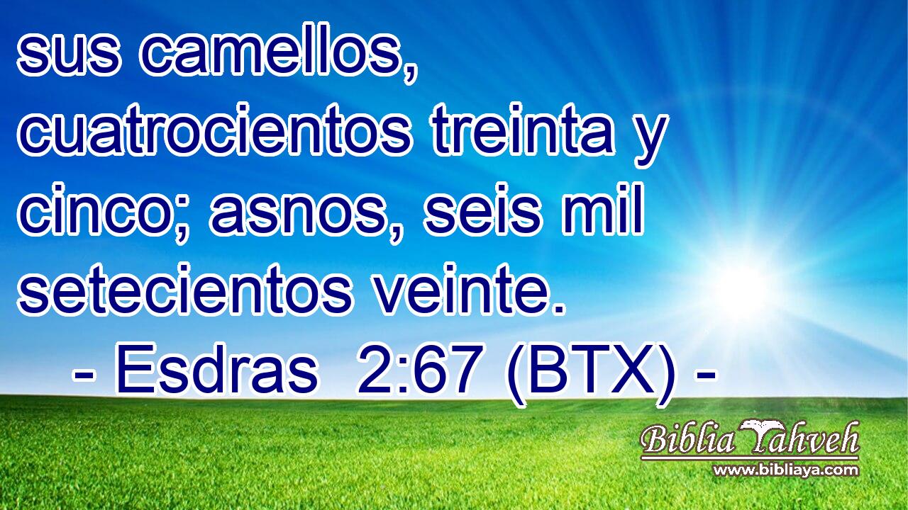 sus camellos, cuatrocientos treinta y cinco; asnos, seis mil setecientos veinte.