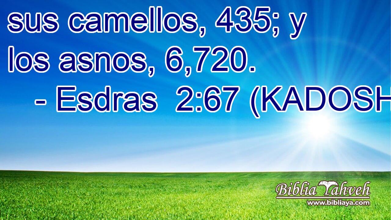  sus camellos, 435; y los asnos, 6,720. 