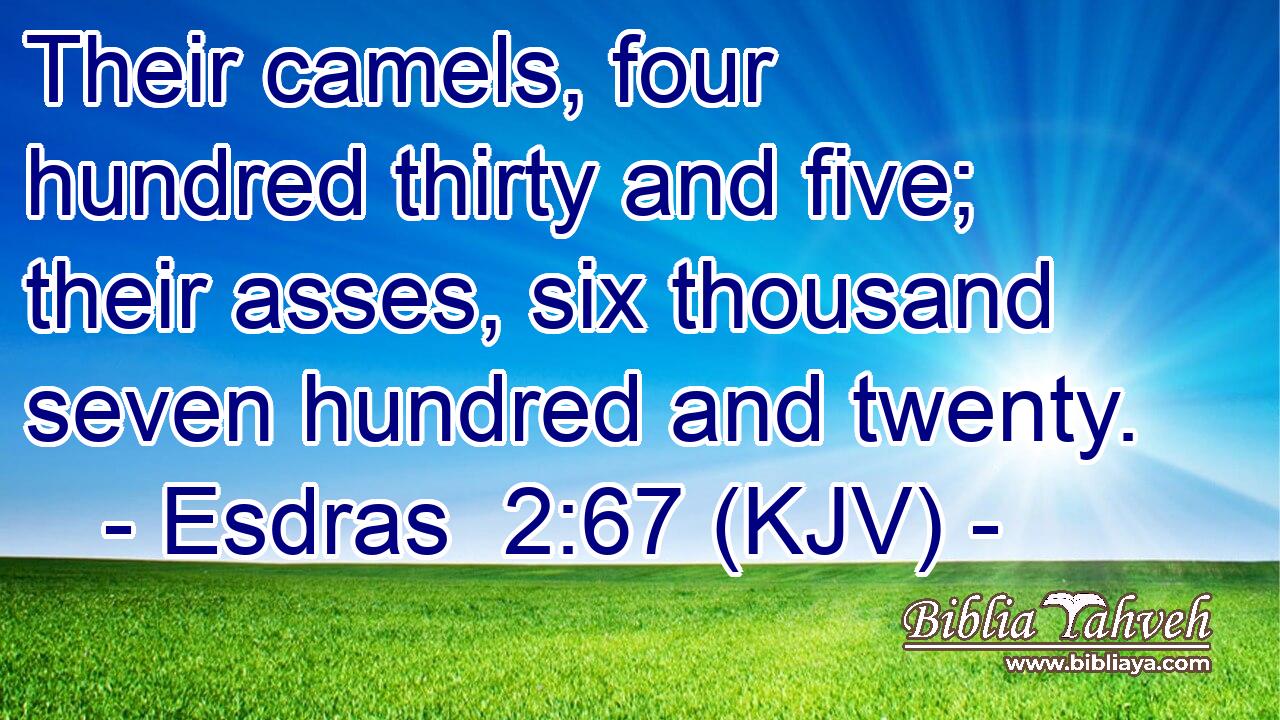 Their camels, four hundred thirty and five; their asses, six thousand seven hundred and twenty.