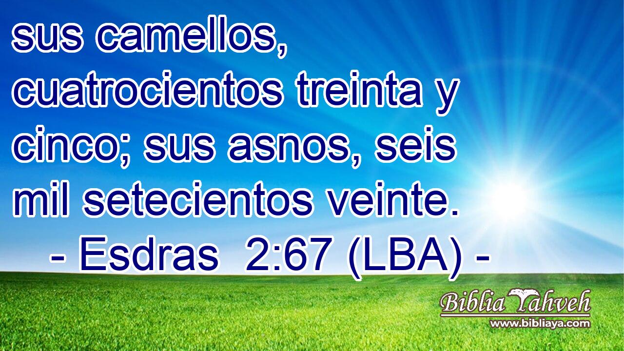 sus camellos, cuatrocientos treinta y cinco; sus asnos, seis mil setecientos veinte.