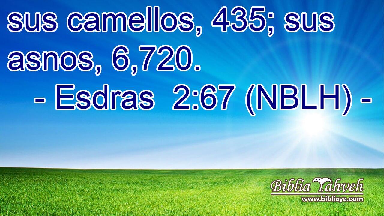  sus camellos, 435; sus asnos, 6,720. 