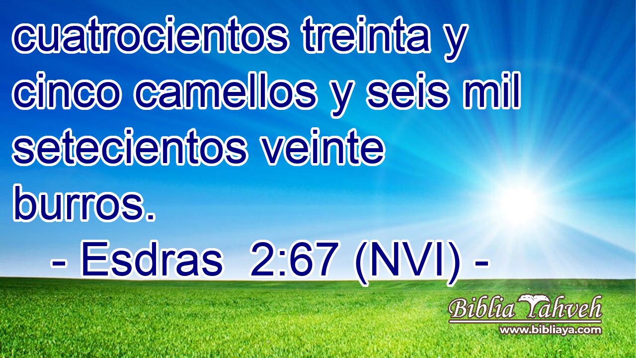  cuatrocientos treinta y cinco camellos y seis mil setecientos veinte burros. 