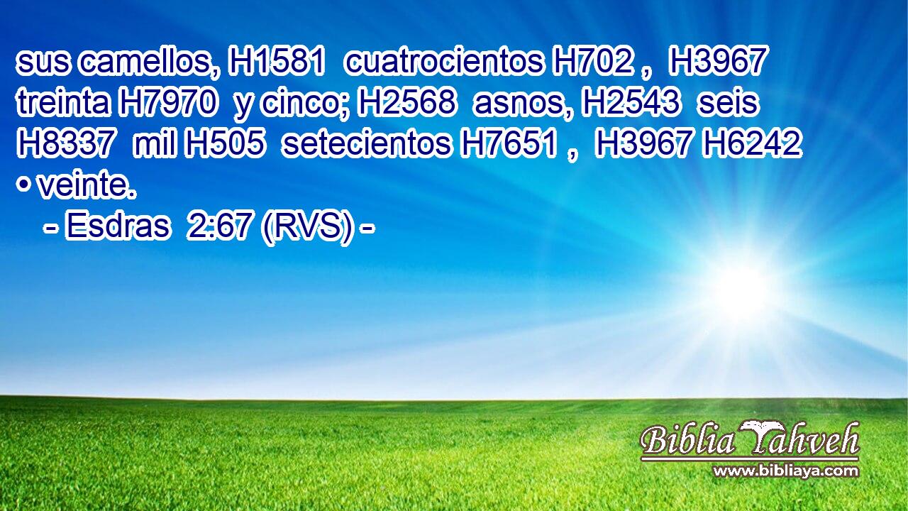 sus camellos, H1581  cuatrocientos H702 ,  H3967 treinta H7970  y cinco; H2568  asnos, H2543  seis H8337  mil H505  setecientos H7651 ,  H3967 H6242 • veinte. 