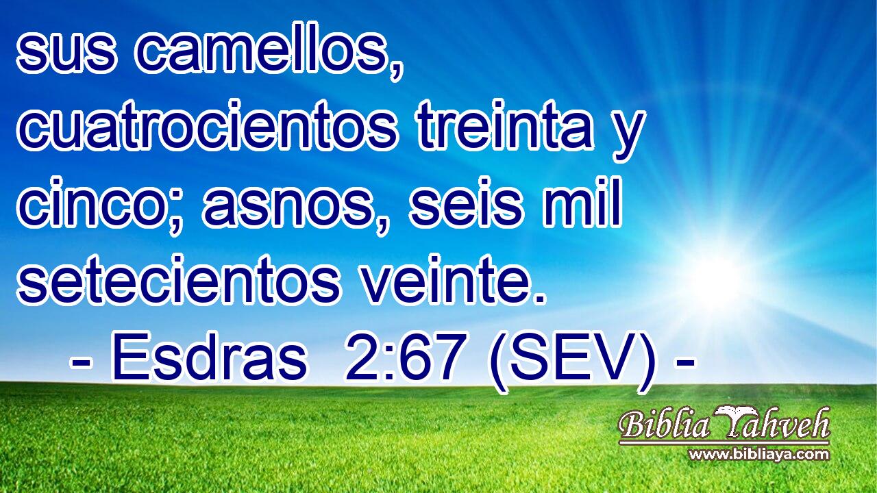 sus camellos, cuatrocientos treinta y cinco; asnos, seis mil setecientos veinte.