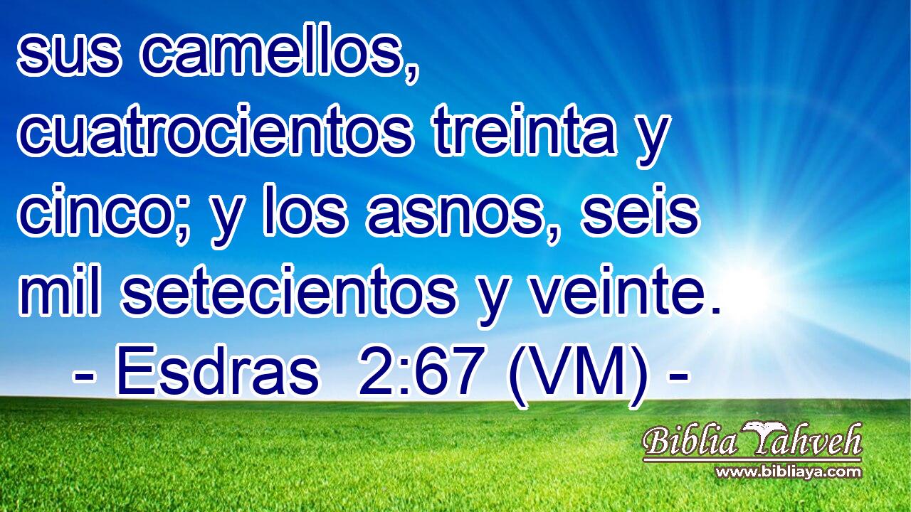  sus camellos, cuatrocientos treinta y cinco; y los asnos, seis mil setecientos y veinte. 