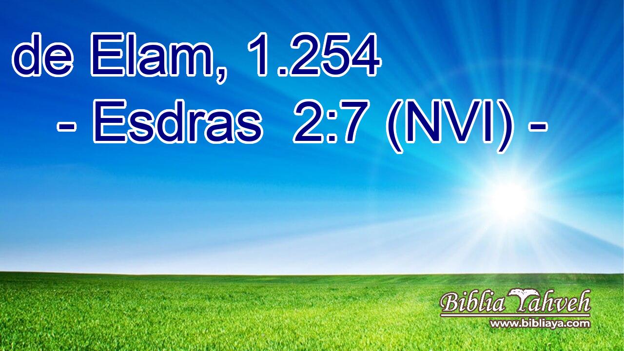  de Elam, 1.254 