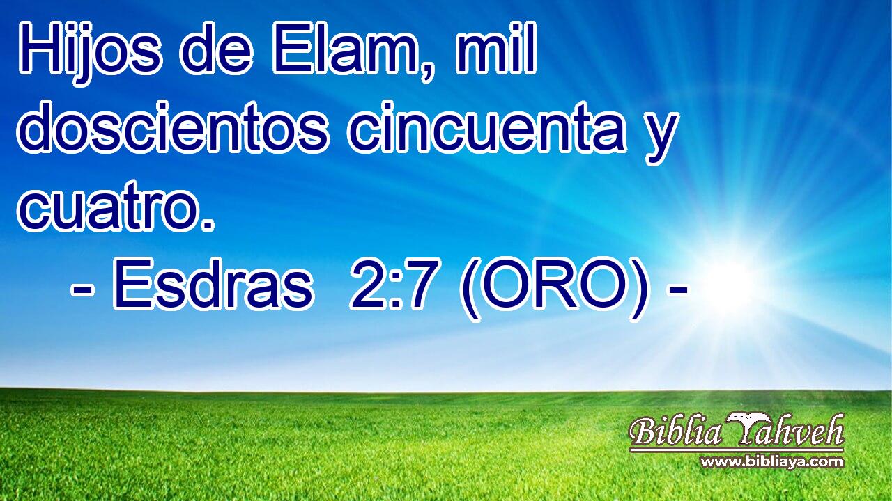 Hijos de Elam, mil doscientos cincuenta y cuatro. 