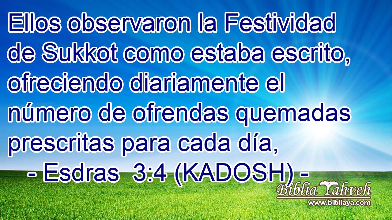  Ellos observaron la Festividad de Sukkot como estaba escrito, ofreciendo diariamente el número de ofrendas quemadas prescritas para cada día, 
