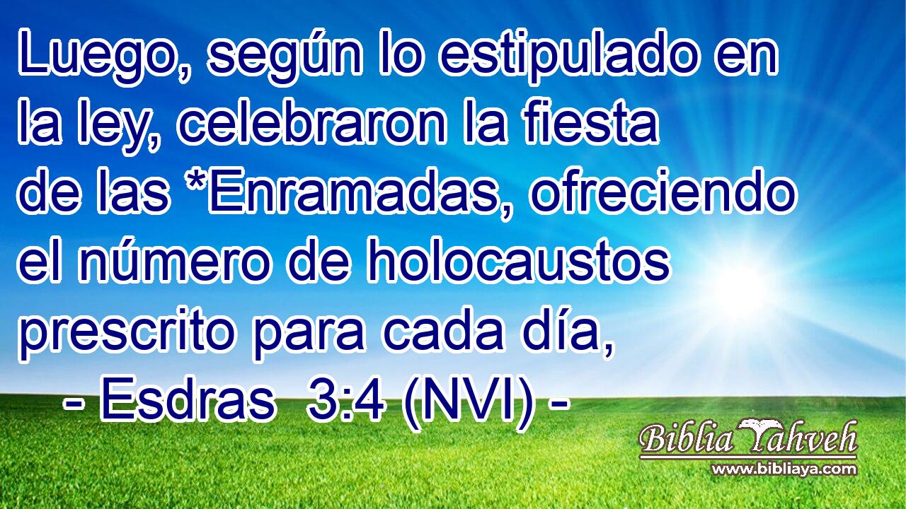  Luego, según lo estipulado en la ley, celebraron la fiesta de las *Enramadas, ofreciendo el número de holocaustos prescrito para cada día, 