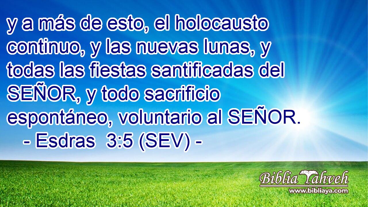 y a más de esto, el holocausto continuo, y las nuevas lunas, y todas las fiestas santificadas del SEÑOR, y todo sacrificio espontáneo, voluntario al SEÑOR.