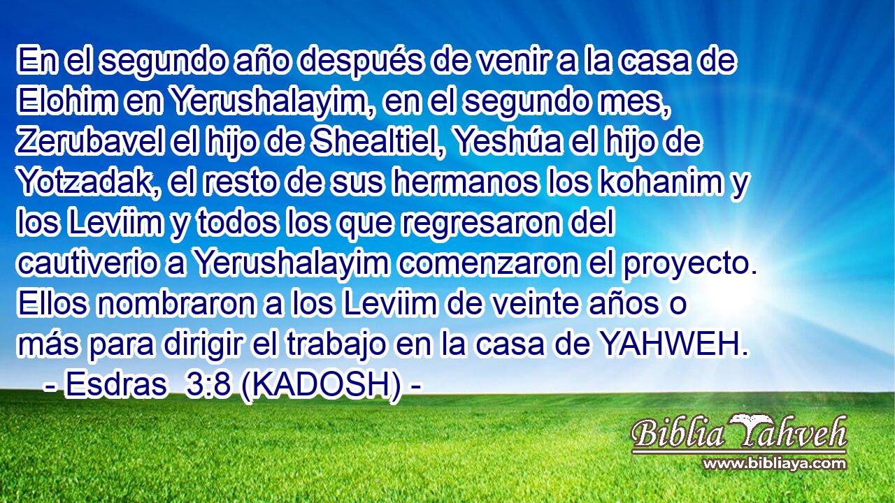  En el segundo año después de venir a la casa de Elohim en Yerushalayim, en el segundo mes, Zerubavel el hijo de Shealtiel, Yeshúa el hijo de Yotzadak, el resto de sus hermanos los kohanim y los Leviim y todos los que regresaron del cautiverio a Yerushalayim comenzaron el proyecto. Ellos nombraron a los Leviim de veinte años o más para dirigir el trabajo en la casa de YAHWEH. 