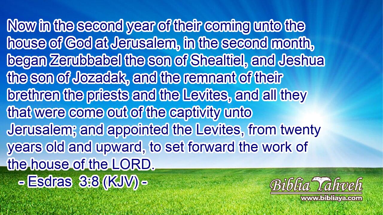 Now in the second year of their coming unto the house of God at Jerusalem, in the second month, began Zerubbabel the son of Shealtiel, and Jeshua the son of Jozadak, and the remnant of their brethren the priests and the Levites, and all they that were come out of the captivity unto Jerusalem; and appointed the Levites, from twenty years old and upward, to set forward the work of the house of the LORD.