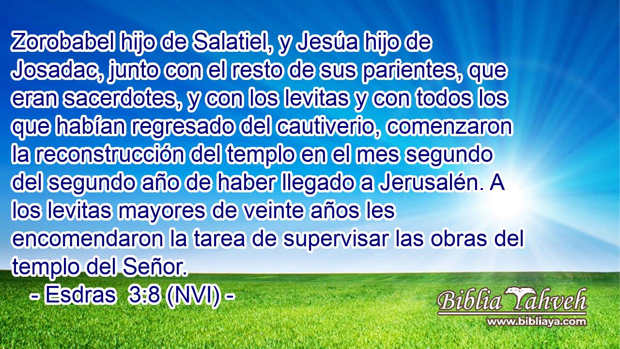  Zorobabel hijo de Salatiel, y Jesúa hijo de Josadac, junto con el resto de sus parientes, que eran sacerdotes, y con los levitas y con todos los que habían regresado del cautiverio, comenzaron la reconstrucción del templo en el mes segundo del segundo año de haber llegado a Jerusalén. A los levitas mayores de veinte años les encomendaron la tarea de supervisar las obras del templo del Señor. 