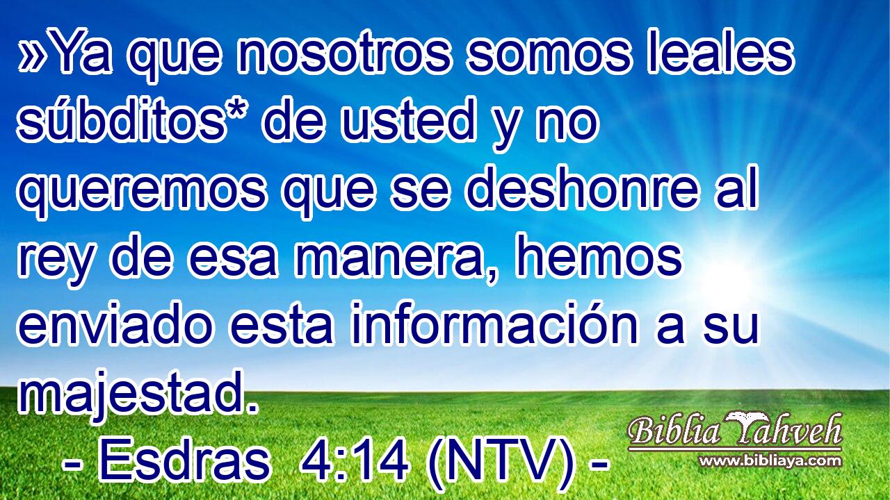 »Ya que nosotros somos leales súbditos* de usted y no queremos que se deshonre al rey de esa manera, hemos enviado esta información a su majestad.