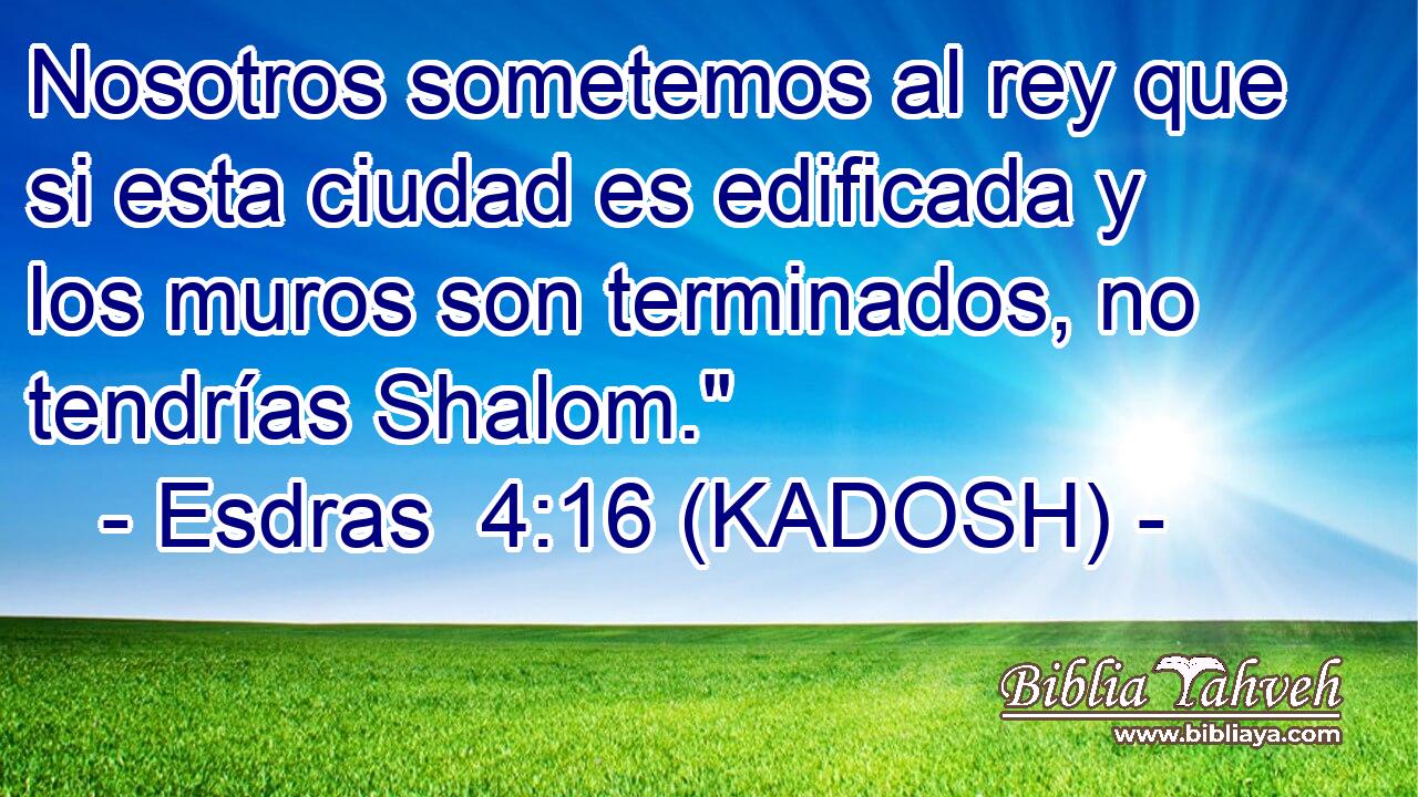  Nosotros sometemos al rey que si esta ciudad es edificada y los muros son terminados, no tendrías Shalom.