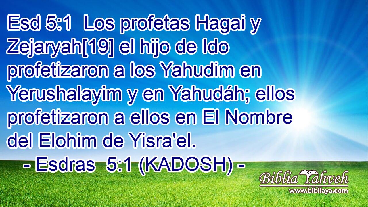  Los profetas Hagai y Zejaryah[19] el hijo de Ido profetizaron a los Yahudim en Yerushalayim y en Yahudáh; ellos profetizaron a ellos en El Nombre del Elohim de Yisra'el. 
